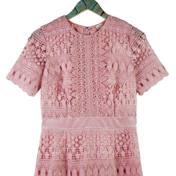 Rachel Parcell Lace Bodice, Velvet Waist Lined Midi Pencil Dress, Pink Bride, S - Picture 4 of 10